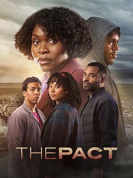 级孕妇视频海报剧照